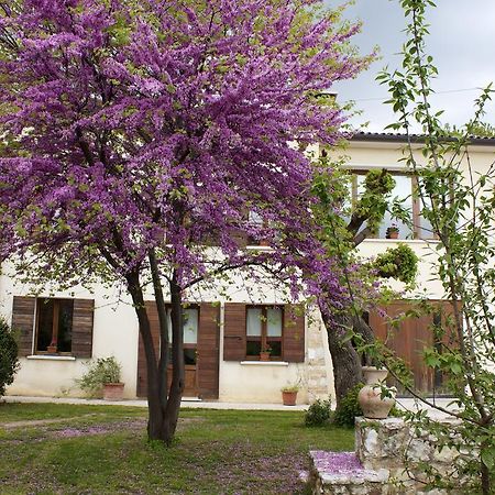 B&B Alte Падерно-дель-Граппа Экстерьер фото