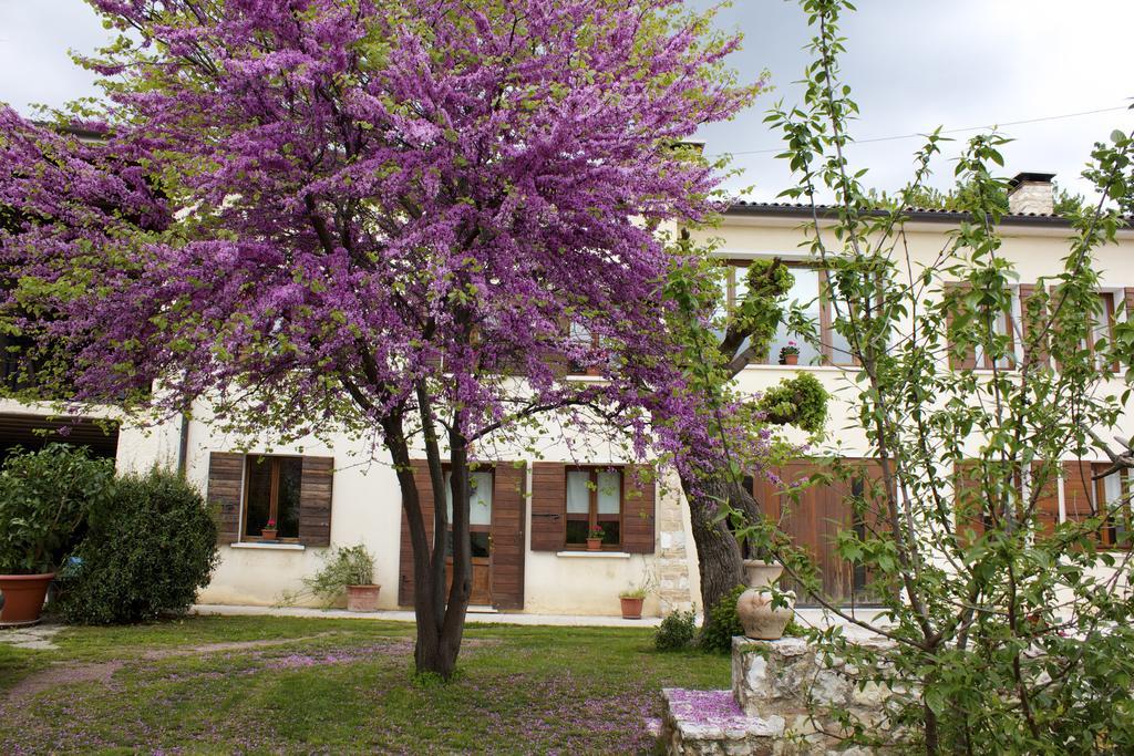 B&B Alte Падерно-дель-Граппа Экстерьер фото